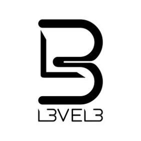 Level 3