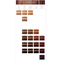 TINTE IGORA ROYAL ABSOLUTES 60ML - SCHWARZKOPF