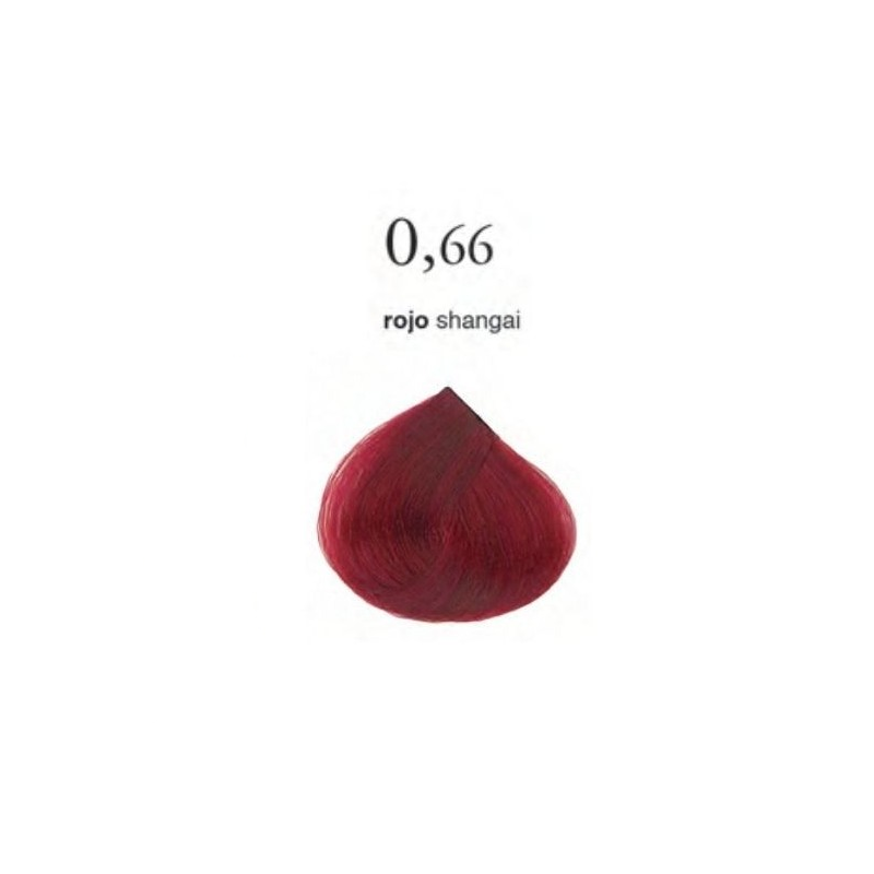 TINTE SALERMIX Nº066 75ML - SALERM