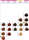 TINTE SALERMVISON 75ML - SALERM