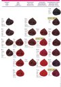 TINTE SALERMVISON 75ML - SALERM