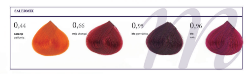TINTE SALERMVISON 75ML - SALERM