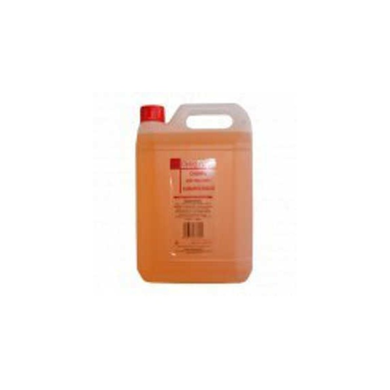 CHAMPÚ DE ALBARICOQUE 5L - DESIGN LOOK