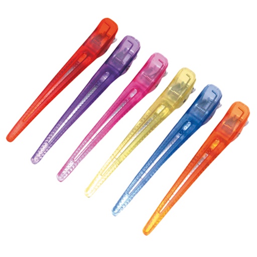 [02525/99   ] BOLSA 6 PINZAS METAL-PLASTICO COLORES - EUROSTIL